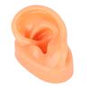 Силиконовая левая ухо модель имитация дисплей ухо модель для больничных слуховых аппаратов
