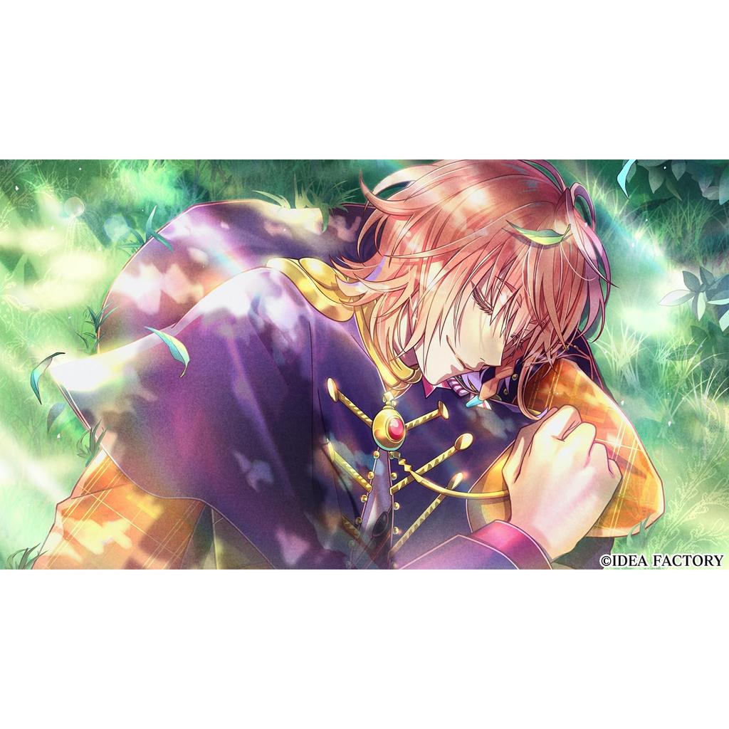 Switch Mistonia Wings - The Lost Delight - Фэнтезийная приключенческая игра(Японское издание)