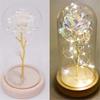 Plants Transparent Bottle Jar Glass Vase Wooden Base Flower Storage Box Glass Cloche Dust Cover