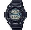 Часы Casio COLLECTION WS-1300H-1A