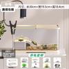 Pet Turtle Tank with Basking Platform Desktop Aquarium for Small Turtles Home Ecological Habitat Terrarium Living Room Decor