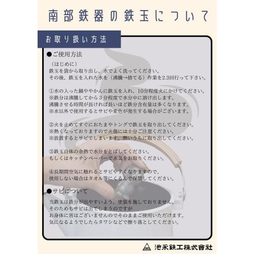Ikenaga Iron Works Iron Ball, Iron Leaf, Nanbu Ironware, Iron Supplement, 2.7 x 19.8 x 0.8 cm (including chain), 11839