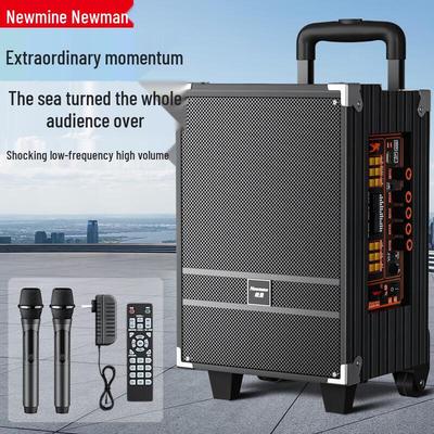 Портативная Bluetooth-колонка на колесиках Newman N518 8 дюймов с двумя микрофонами, штекер CN (адаптер в комплекте)
