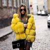 Autumn and Winter New Faux Fur Hat Women's Wear Medium Length Slim Fit Fox Fur Coat Women