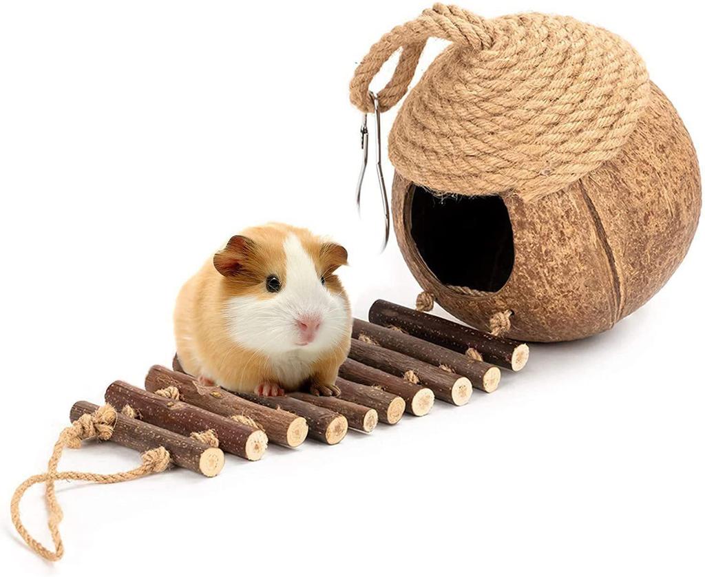 Natural Coconut Shell Parrot Nest & Swing Toy - Warm Tiger Skin Design