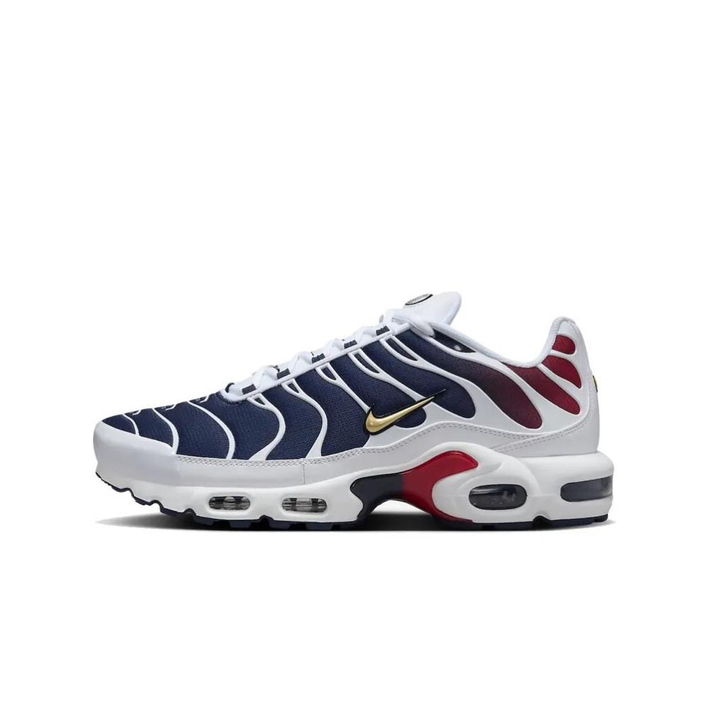 Nike Air Max Plus PSG