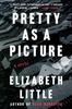 The Pretty As A Picture : A Novel Book