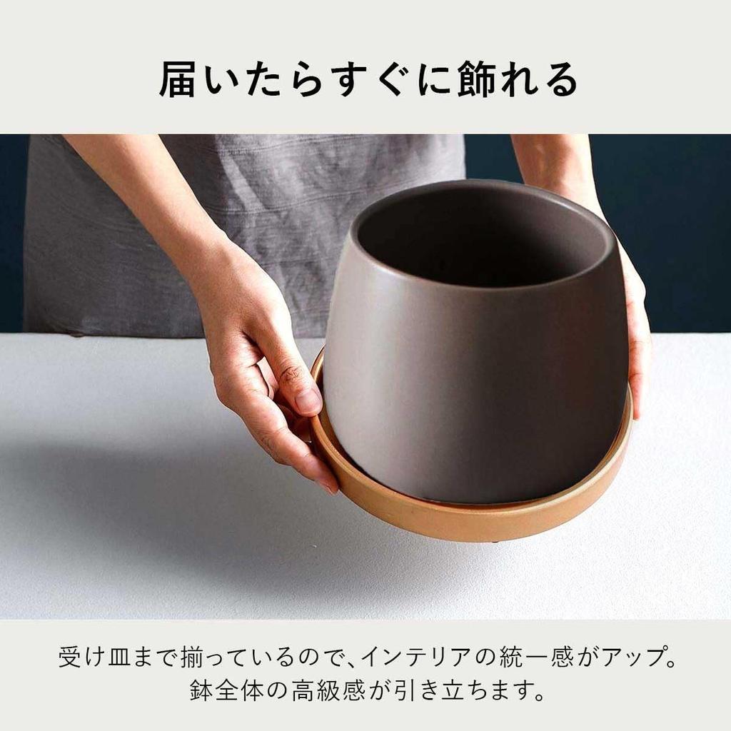 Iikuru Stylish Ceramic Planter Set for Houseplants and Succulents