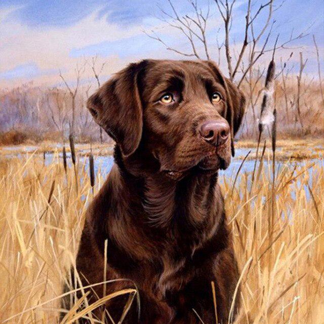 Животное DIY 5D алмазная живопись полная круглая дрель стразы мозаика домашняя собака Алмазная вышивка крестиком украшение дома