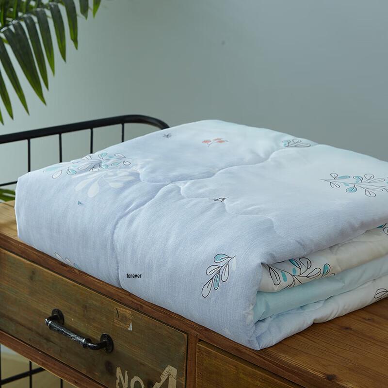 Mengjie Soft Summer Quilt