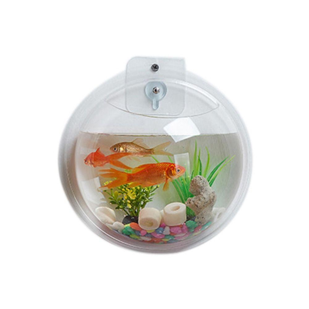 Настенный аквариум в форме полусферы, прозрачный подвесной аквариум для петушков, украшение для офиса