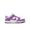 Nike Кроссовки Dunk Low Next DD1873 108 фиолетовый