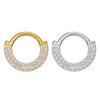 European & American 316L Stainless Steel Inlaid Stone Nose Ring Hoop & Septum Earring Combination