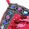 Womens Sparkling Belly Dance Bra Sequins Tassel Coins Top Dancing Costume - Red, As Described