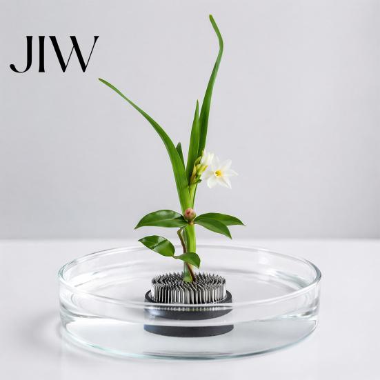 Flower Frog for Vases Floral Arrangement, Stainless Steel Pins with Stem Fixer Rubber Base, Arranging Tool Ikebana Moribana Crafting Supplies