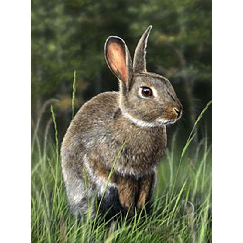 Кролик DIY 5D алмазная живопись полная круглая дрель животное живописная Алмазная вышивка набор крестиков настенное искусство домашний декор подарок