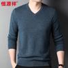 Hengyuanxiang Men's 100% Pure Wool V-Neck Sweater HJ198