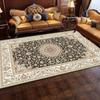 Crystal Pile Vintage Persian Living Room Full Rug Ethnic Style Coffee Table Sofa Mats Bedroom Bed Cloakroom Carpet