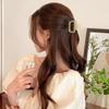 Frosted Jelly Small Shark Hair Clip - High-Grade Half-Up Accessory