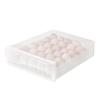 Double-Layer PET Transparent Egg Storage Box for Refrigerators