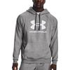 Under Armour Rival Fleece Sweatshirts Men's Gray Hooded Moderate Regular 1379758-025