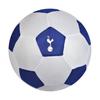 Tottenham Hotspur FC Mesh Football