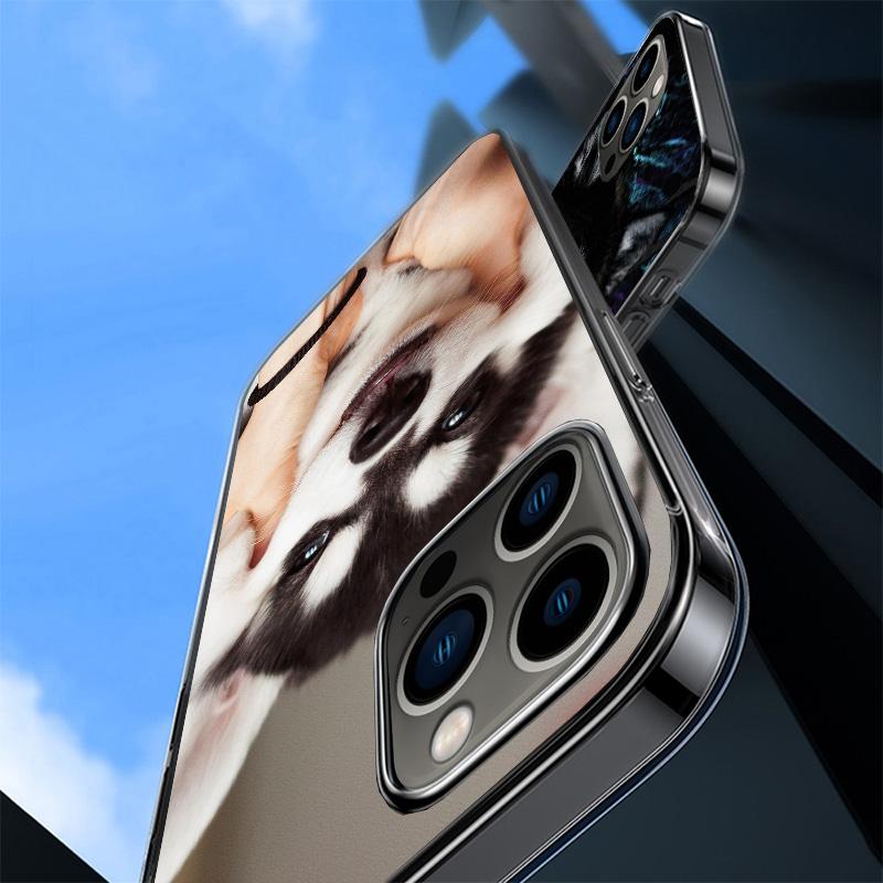 Siberian Husky Dog Phone Case For iPhone 17 Air 16 Pro Max 16E 15 + 14 Plus 11 12 13 Mini 7 8 SE Gift Print Cover Fundas 17 Air