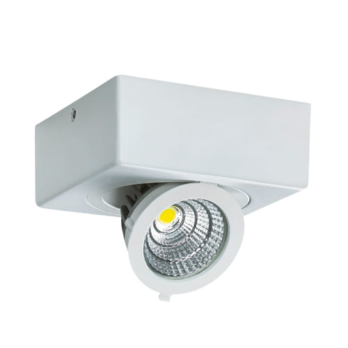 Oprawa sufitowa biała LED D 6W IP20 IGOR Ideus 03127