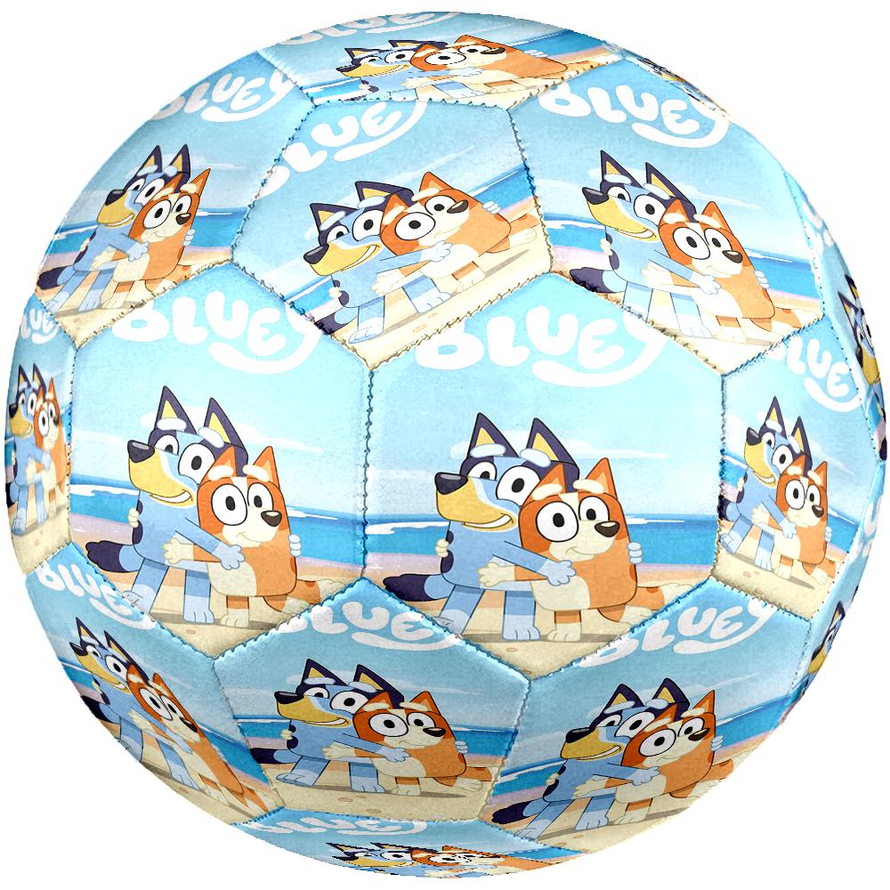 Bluey Theme Size 5 Soccer Ball, Suitable for Both Indoor and Outdoor Matches, a Gift Suitable for Everyone.
