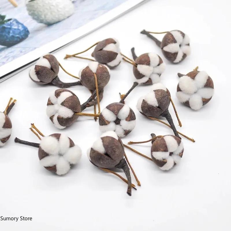 12 Artificial Kapok Natural Dried Flowers Simulation Cotton Wedding Room Easter Decoration Supplies DIY Wreath Bouquet Gift Box