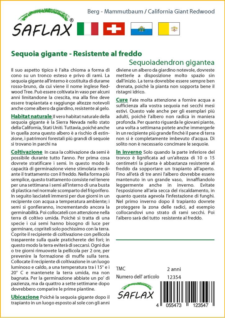 SAFLAX California Giant Redwood - 50 семян - С горшечным субстратом для лучшего выращивания - Sequoiadendron gigantea