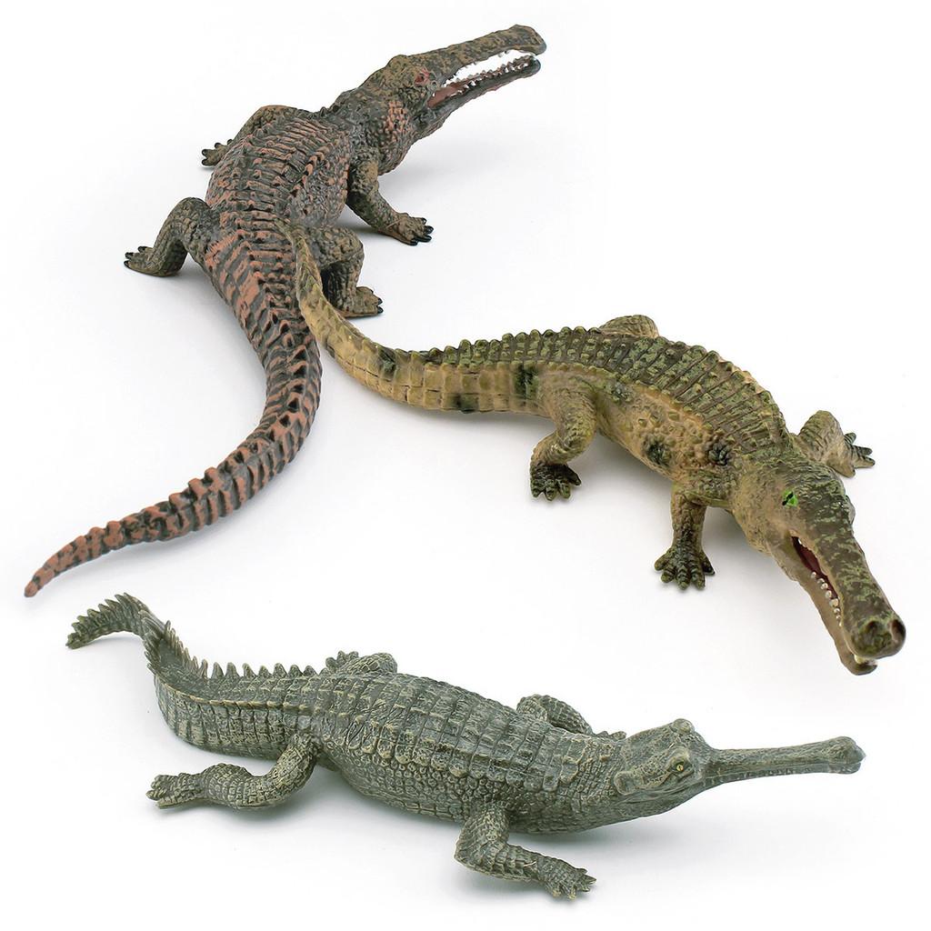 Crocodile Models Lifelike In Pvc Featuring Long Snouted And Emperor Crocodile Static Displays