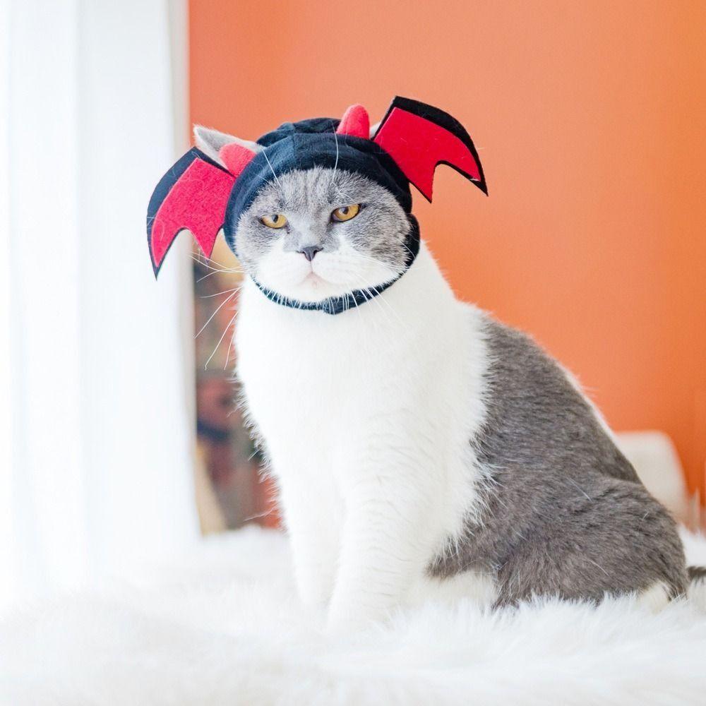Короткий плюшевый головной убор для питомца, косплей-костюм, шапочка для щенка, милый головной убор для кошки