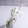 50Pcs Transparent Wrapping Paper Waterproof Bouquet Packing Material Flower Packaging Bag  Wedding