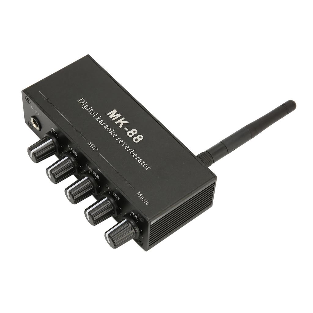6,5 мм караоке-микшер из алюминиевого сплава с двойным микрофонным входом, портативный цифровой ревербератор для караоке для