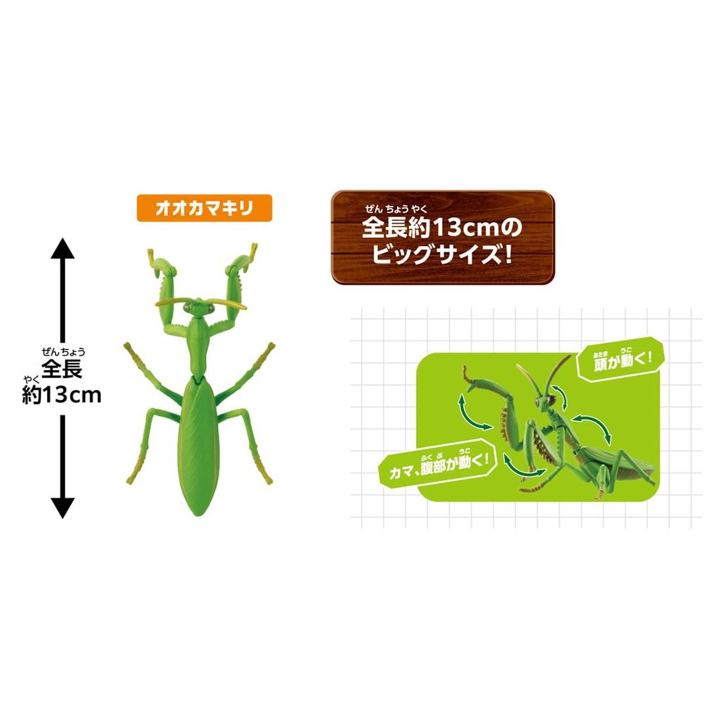 TAKARA TOMY Ания Самые сильные существа Животные и игрушки для детей от 3 лет и старше Набор природы, Динозавры,