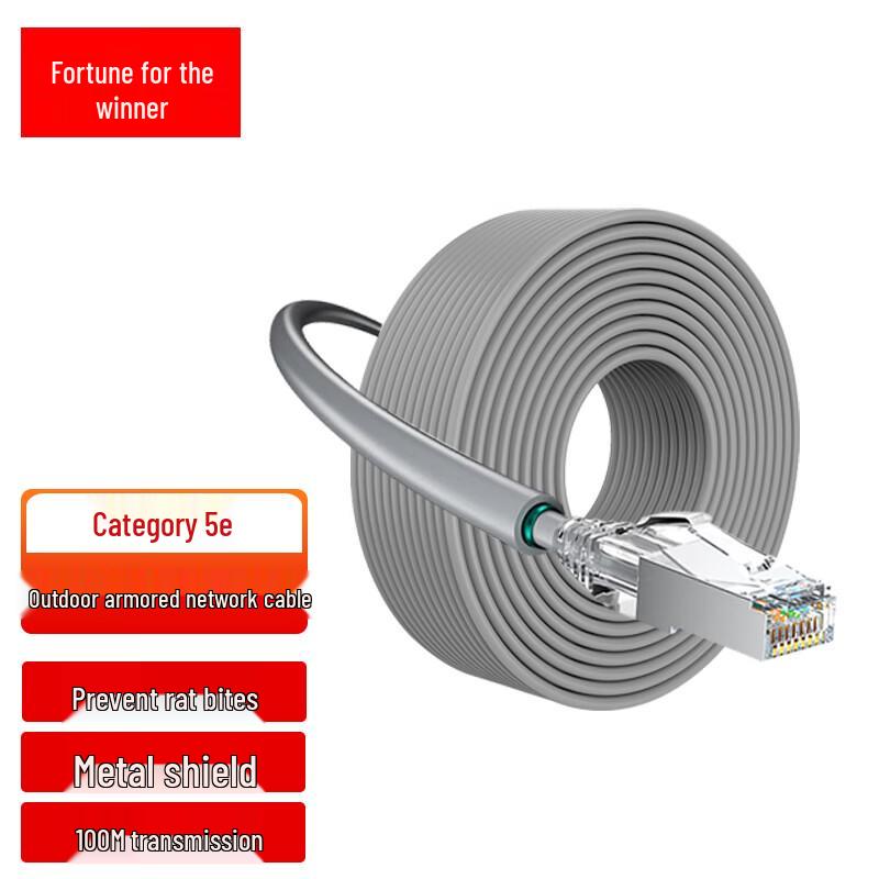 FUWEISHENG Cat5e Armored Outdoor Ethernet Cable