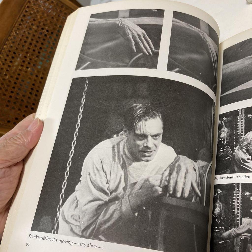 [USED] Frankenstein by James Whale