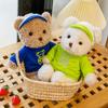 Cartoon Bear Plush Toys Dressed In Bear Doll Children Comforting Doll Decoration Gift Ornaments