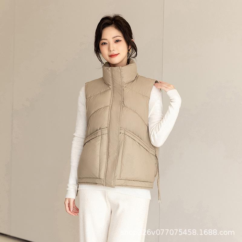 Пуховая хлопковая одежда, жилет женский со стойкой, осенне-зимний новый жилет, легкий и теплый, модный большого размера, простой и щедрый темперамент