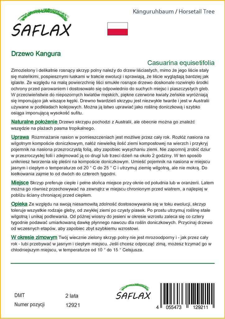 SAFLAX Хвощ полевой - 200 семян - Casuarina equisetifolia