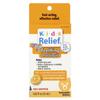 Kids Relief®, Gums & Teething Oral Liquid, Ages 0-9, Orange, 25 mL (0.85 Fl Oz)