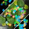 Wide Use Glow In Dark Safe Colorful Lawn Decor Decorative Pebbles Luminous Stones Aquarium Ornament