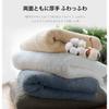 AYO Bath Towel 4-Piece Set, Camel, Hotel Quality, Soft, 100% Cotton, Highly Absorbent, Durable,