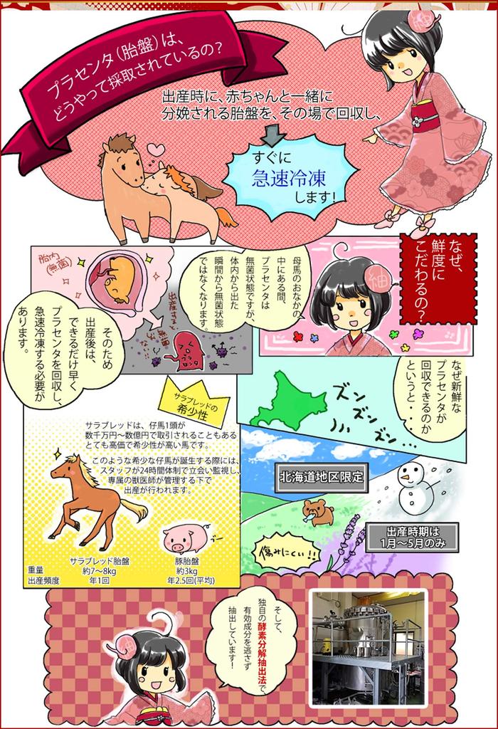 Сыворотка с плацентой Tsumugi лошадиная косметика Tsumugi (домашняя плацента)