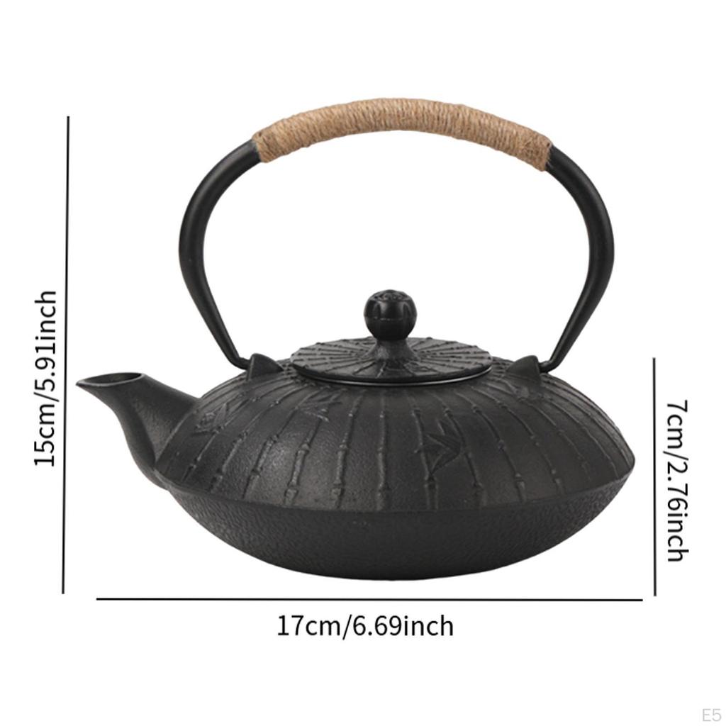 Чугунный заварочный чайник, чайник для кунг-фу, чайник для небольших пикников