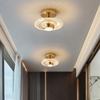Luster Nordic LED Ceiling Lamp Home Foyer Aisle Corridor Cloakroom Light Спальня Балкон Украшения Потолочный светильник Внутреннее освещение