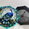 1pc Peacock Love Heart Floral Illustration Umbrella with Plastic Handle,Suitable for All Seasons Home Travel Outdoor UmbrellaDD683