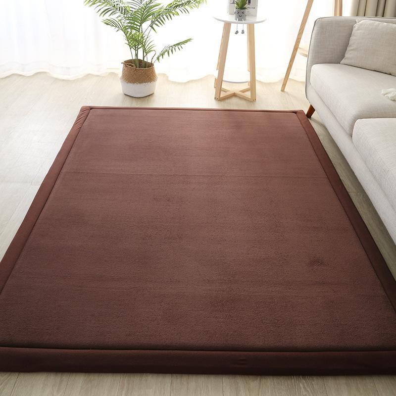 2cm Thickened Tatami Rug Soft Coral Fleece Velvet Bedroom Carpet Children Playmat Living Room Rug Bed Floor Mattress Mat