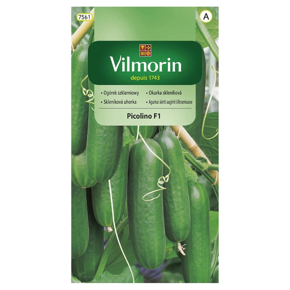 Greenhouse Cucumber Picolino F1 10 Seeds - VILMORIN